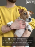 Браслет мужской из натуральных камней