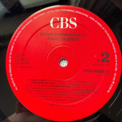 Винтажная виниловая пластинка LP Борис Гребенщиков, Boris Grebenshikov Radio Silence (Нидерланды 1989)