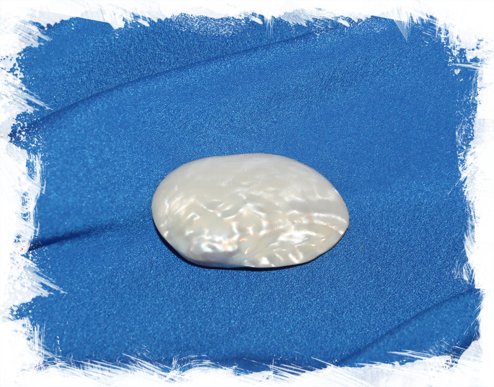 Ракушка Погремушка перламутровая