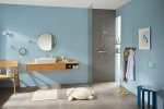 Термостат для душа Hansgrohe Ecostat E 15773000
