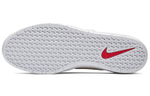 Кроссовки Nike Sb Team Classic