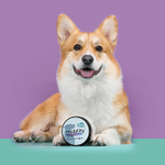 Функциональное лакомство Favet PetPantel Soft Chews для мышц и суставов для собак, 120г