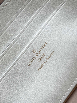 Louis Vuitton Ivy Wallet On Chain Bag