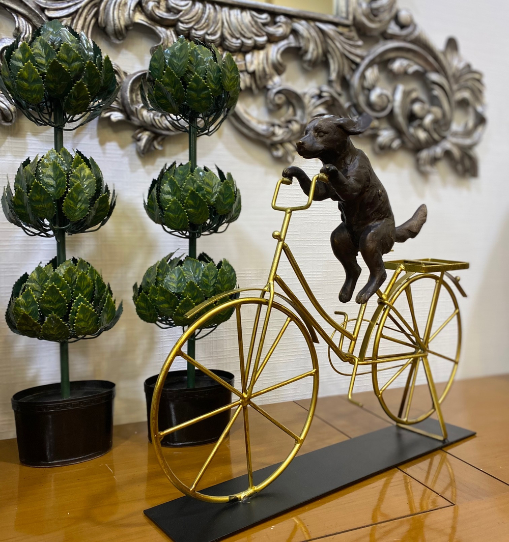 Собака на велосипеде