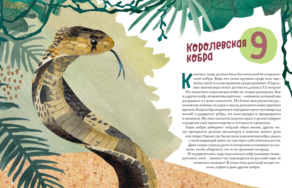 Змеи. Великолепная десятка