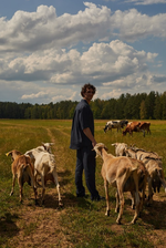 Брюки "Linen"  синие