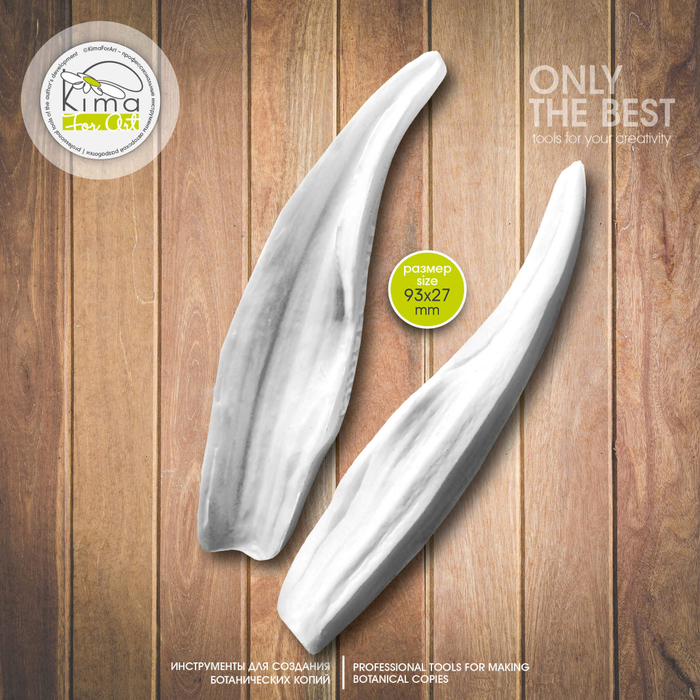 Тюльпан карликовый лист