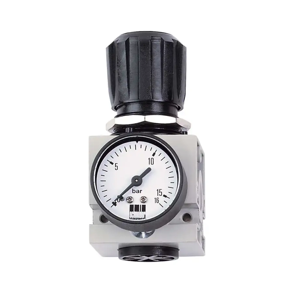 Регулятор давления с манометром DM 1/2 W Schneider airsystems D402002