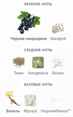 Fischersund миниатюры 5 мл на выбор