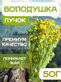 Володушка трава сушеная, пучок.