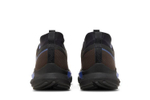 Кроссовки Nike Pegasus Trail 4 Gore-Tex