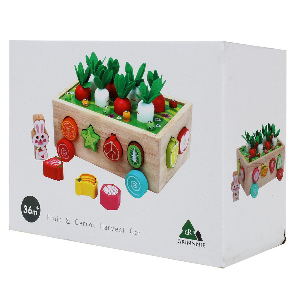 Развивающая игрушка деревянная Каталка-сортер, коробка C-41823