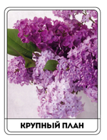 Картина "Букет сирени в фаянсовом кувшине"