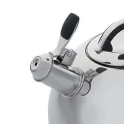 Чайник для плиты Gipfel Poesie 1122 2,5 л