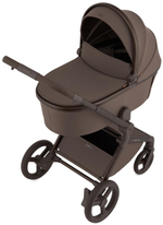Детская коляска Anex Flo 2 в 1 Browny