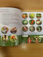 Our World 4 with Student's CD-ROM: British English