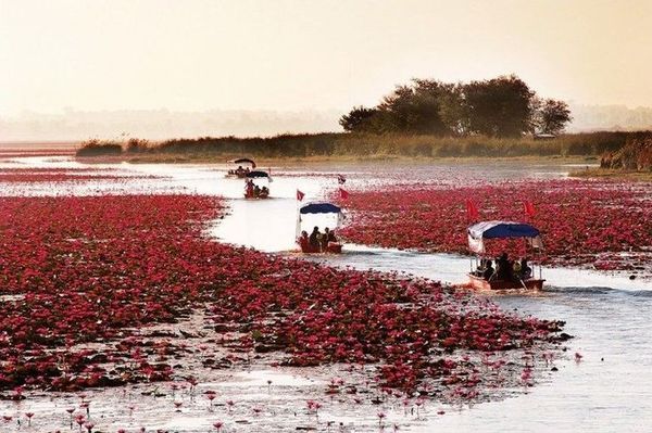 Природные чудеса Мира. Озеро Нонг-Хан-Кумпхавапи.
