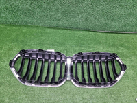 Решетка радиатора BMW X1 F48 (2019-2022)