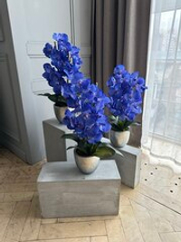 Фаленопсисы в кашпо, в-64 см