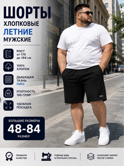 Шорты хлопковые летние SHILCO 019F69