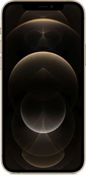 Apple iPhone 12 Pro 256GB Gold (Золотистый)