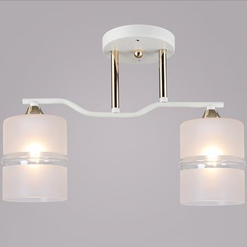 02283-0.3-02 WT+FGD светильник потолочный