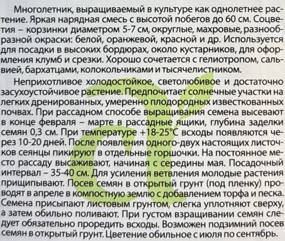 Хризантема Радуга килеватая 0,3 г СМЦ-335