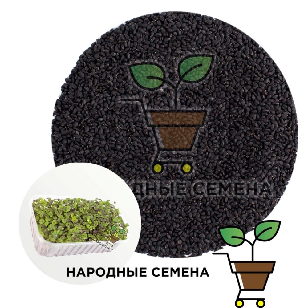 Базилик зелёный семена