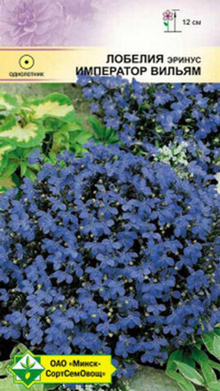 Лобелия эринус "Император Вильям" 0.05г, Германия.