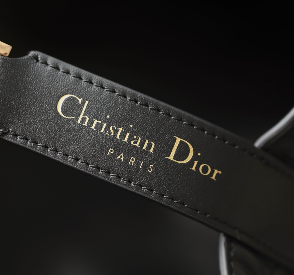 Christian Dior Medium Toujours Bag 28 cm