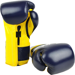 Перчатки боксерские Fairtex BGV9 Mexican Style 16 OZ