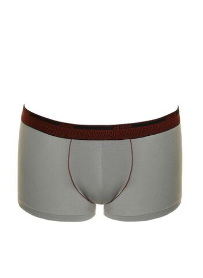 Мужские трусы-боксеры из микромодала (Размер: XL) (Цвет: серый)