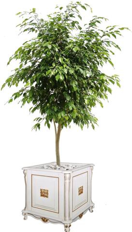 Подставка декоративная «Алези Люкс» П1.349.0.20 (П350.20л)