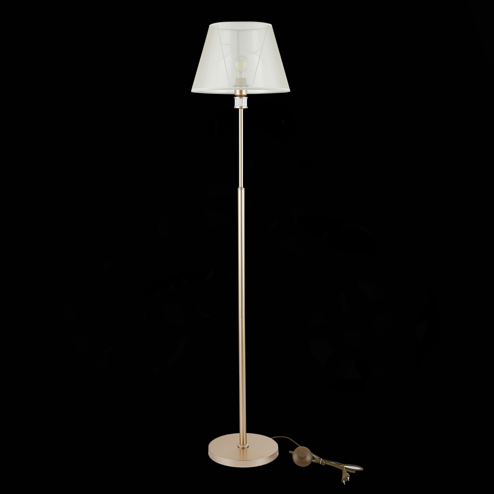 Светильник напольный Evoluce Manila SLE107505-01