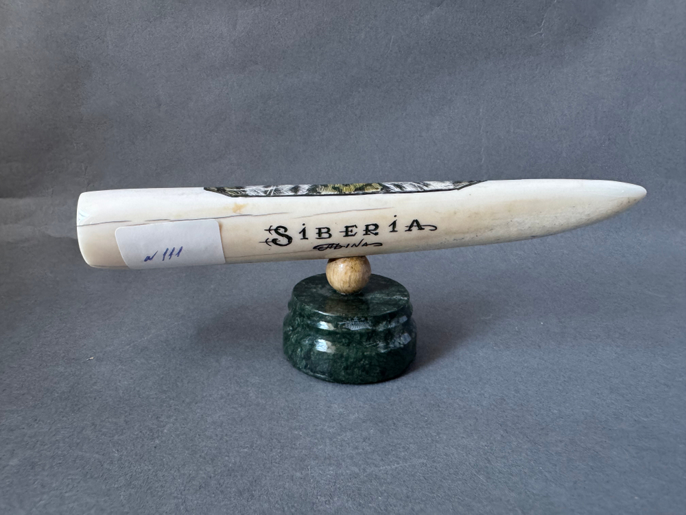 Взгляд из тайги