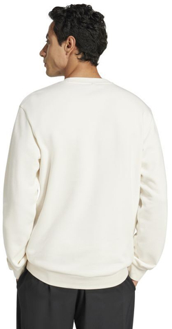 Мужская теннисная кофта Adidas Heritage Graphic Long Sleeve Crew - белый