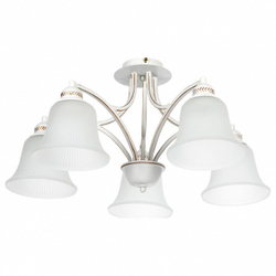 Накладная люстра Arte Lamp A2713PL-5WG