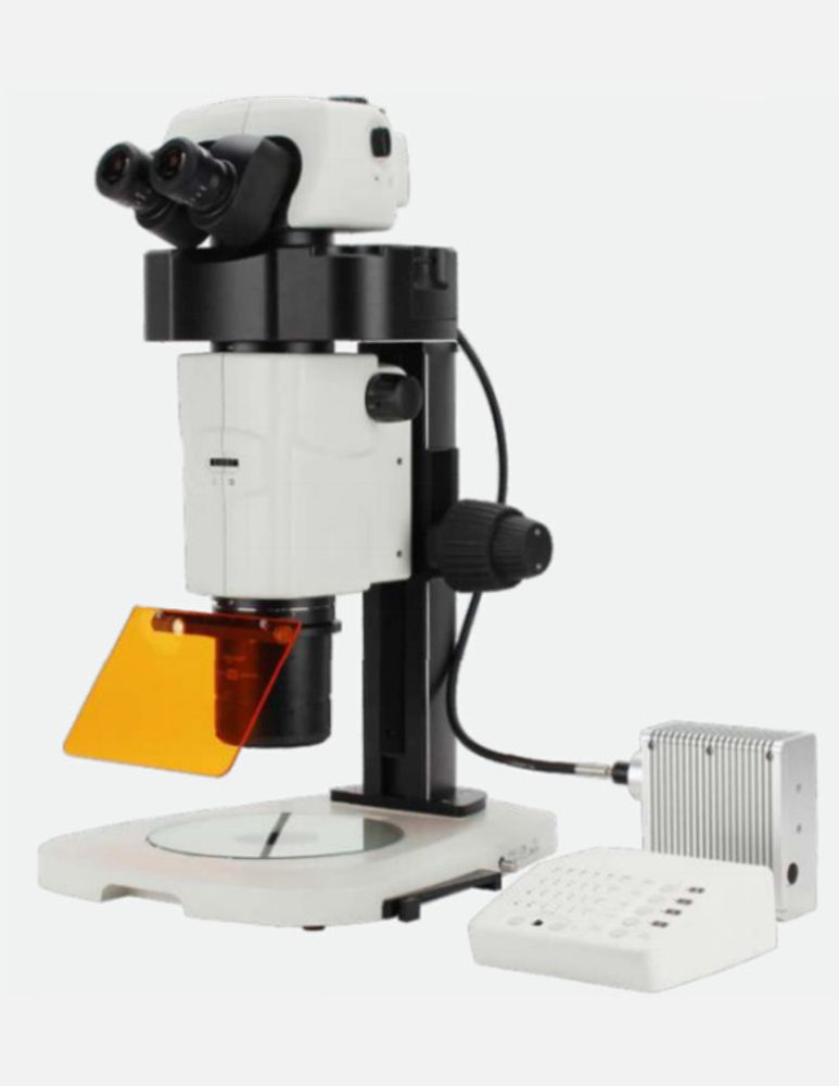 XTZ-980 Flustescent Microscope Sports Vision