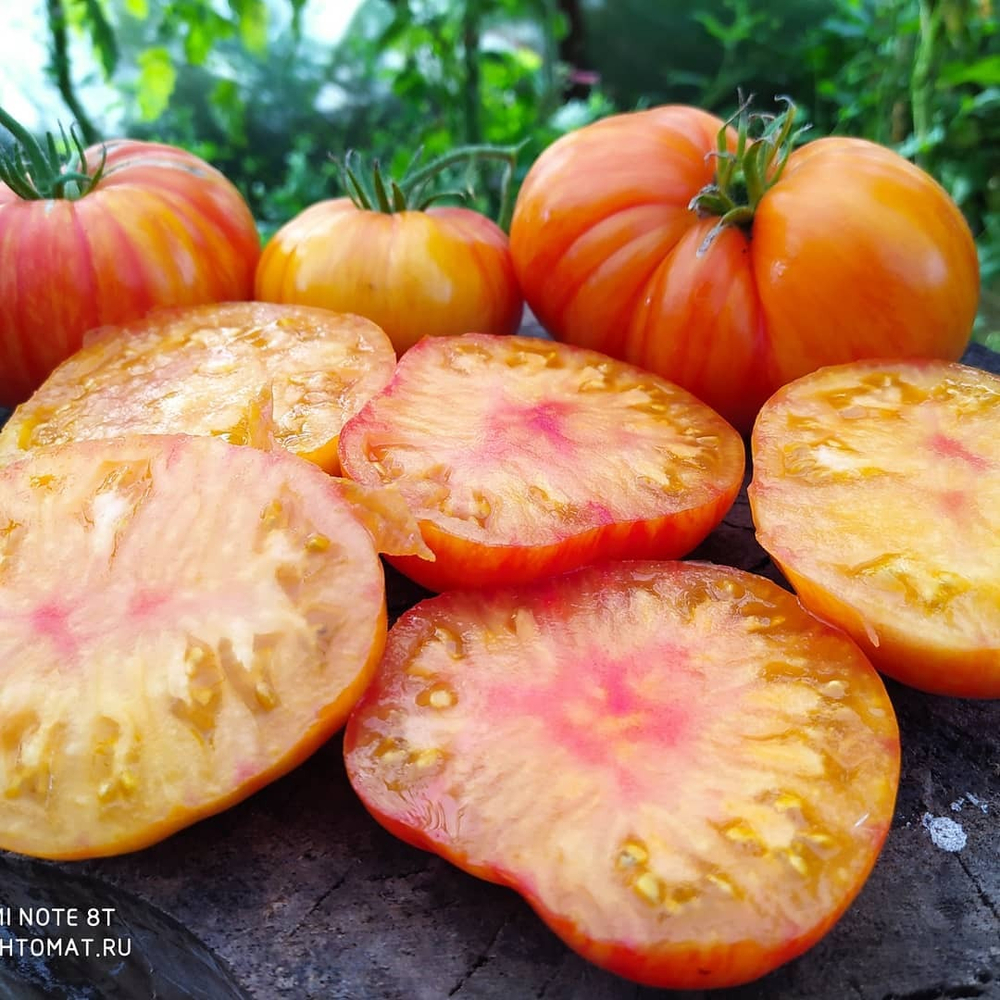 Большой оранжевый полосатый (Big orange striped) сорт томата