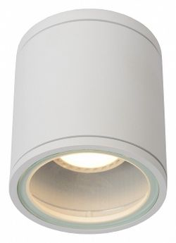 Накладной светильник Lucide Aven 22962/01/31