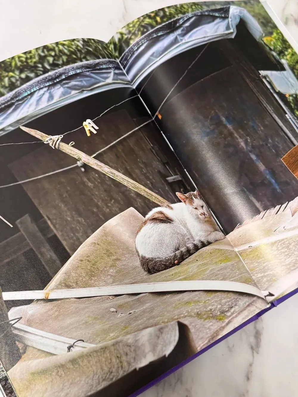 Книга Современное искусство Кореи