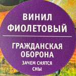 Гражданская Оборона ‎– Зачем Снятся Сны 2LP (Россия 2024г.) Purple