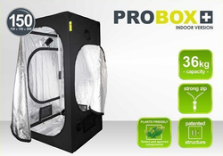 PROBOX BASIC