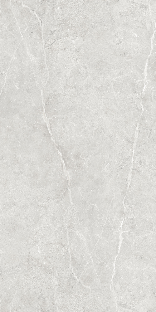 Керамогранит Ideal GT1206020506LGR светло-серый 60x120