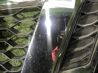 Решетка радиатора Nissan Terrano 3 D10 (2014-2022)