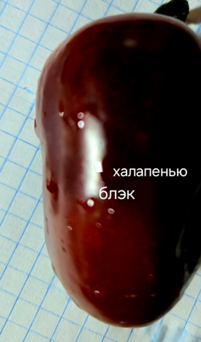 Халапенью Блэк