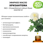 Эфирное масло хризантемы / Chrysanthemum indicum flower essential oil