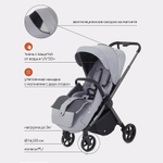 Детская прогулочная коляска Rant Golf RA101 Classic Grey