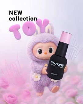 Toy