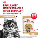 Royal Canin Maine Coon Adult Корм консервированный для взрослых кошек породы Мэйн Кун соус 85г